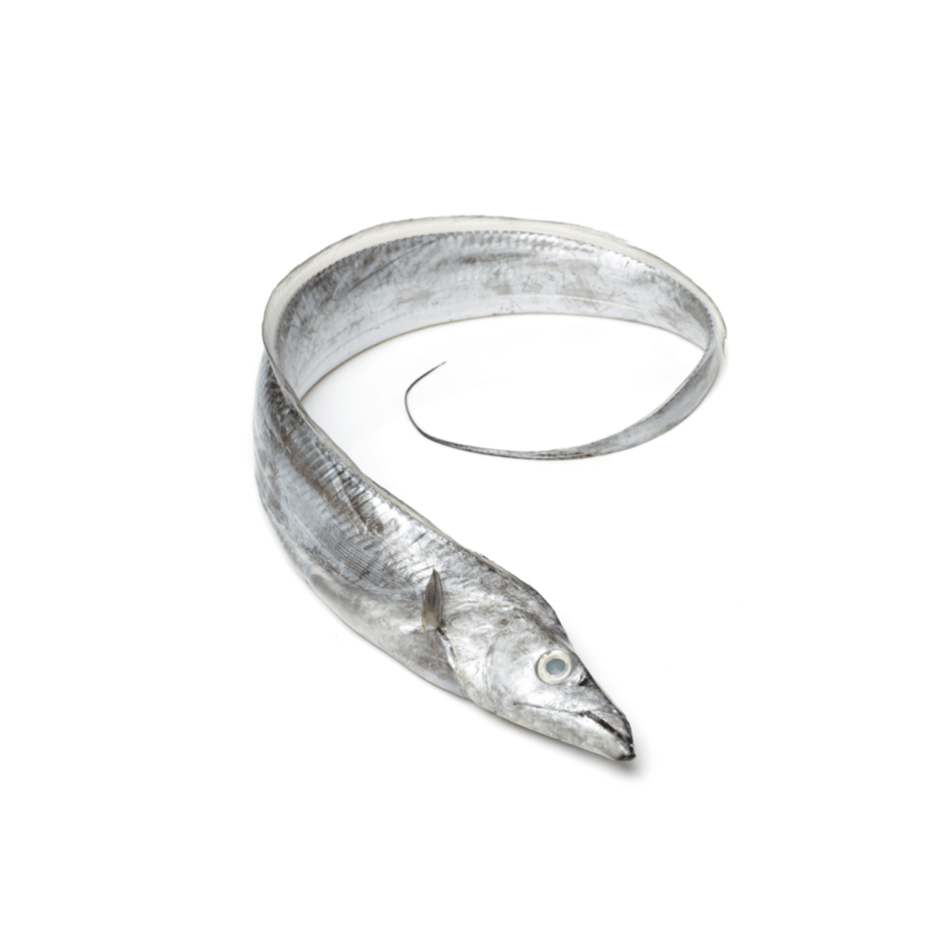 Ribbon Fish - Burum Sea Food Company