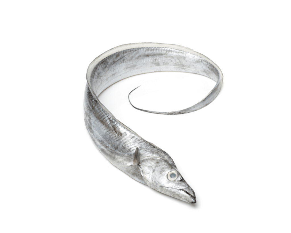 Ribbon Fish - Burum Sea Food Company